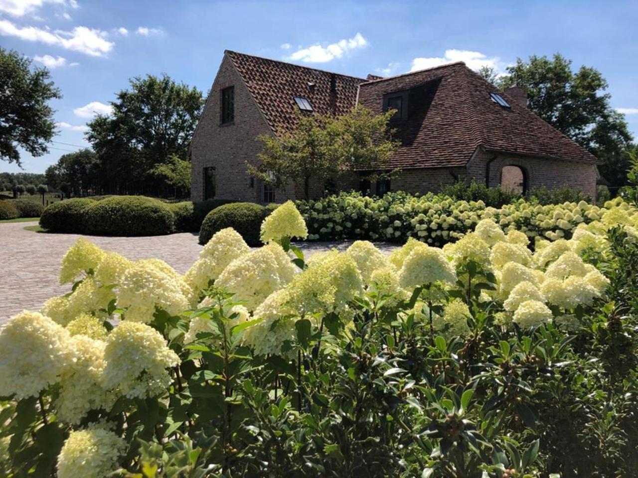 Hoeve Den Akker - Luxueuze Vakantiewoningen Met Privetuinen En Alpaca'S Nabij Brugge, Damme, Knokke, Sluis En Cadzand Exterior foto